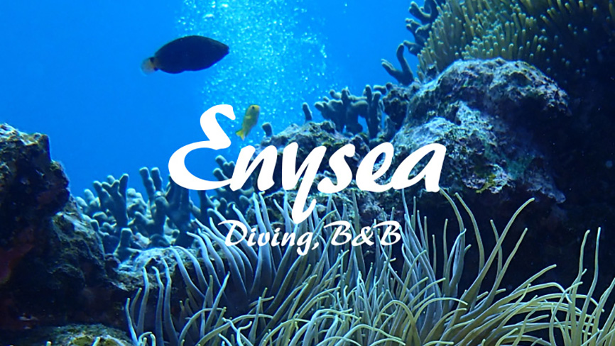 Enysea Diving,B&B